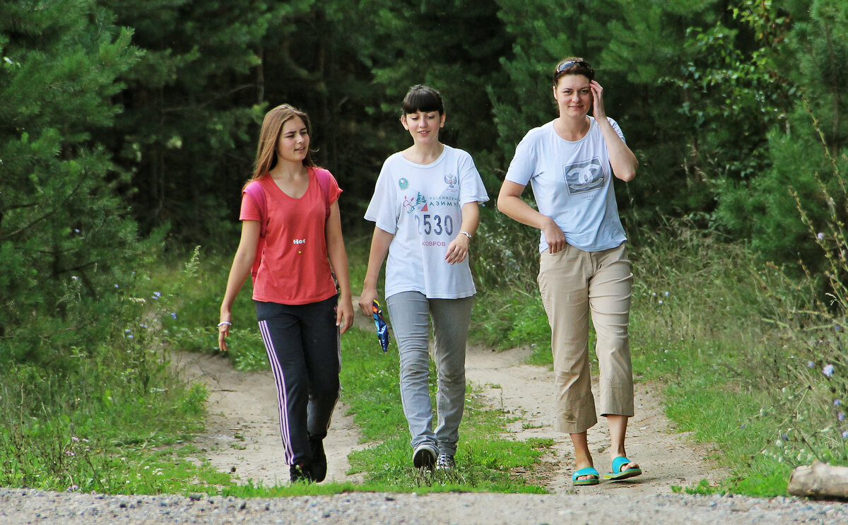 Трое из лесу - СЮ 