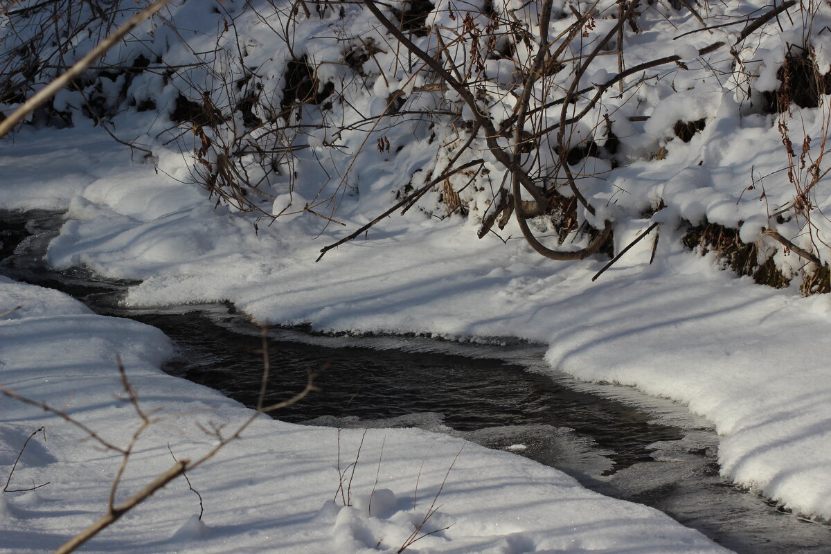 зима в   весне - Наталья Штанулина