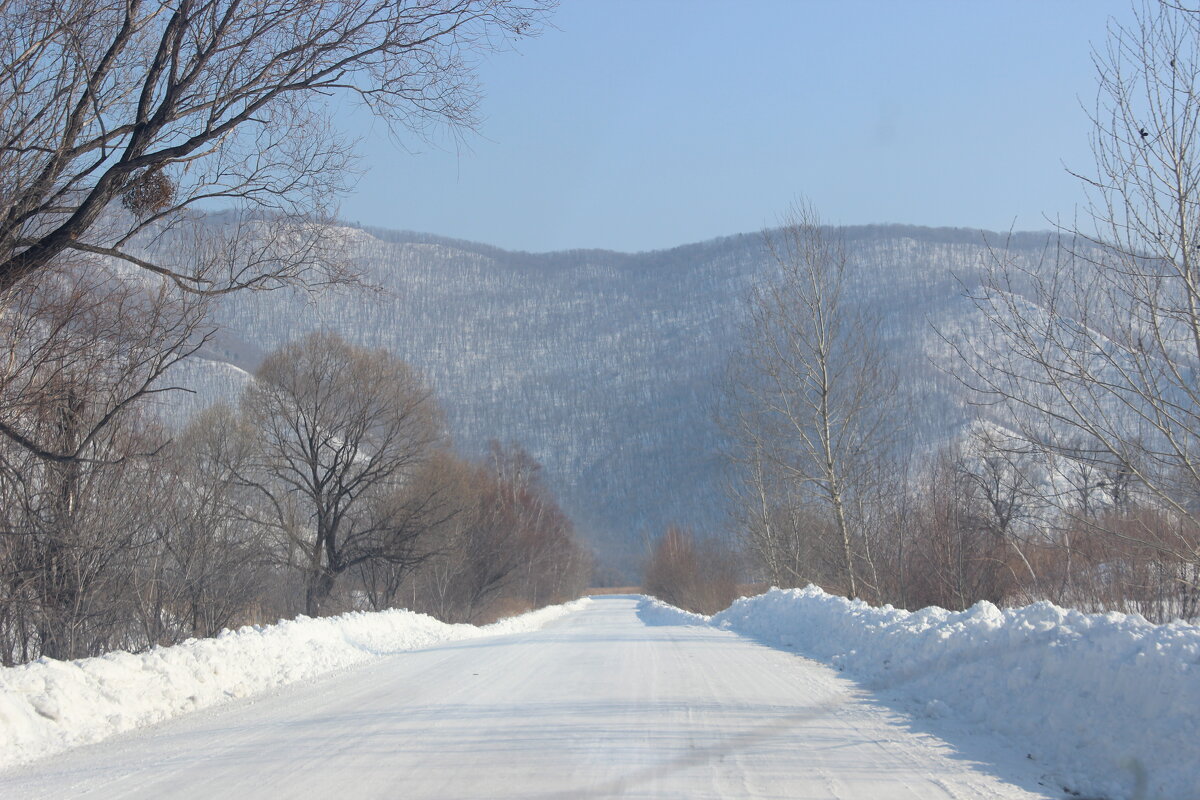 сопки - Наталья Штанулина