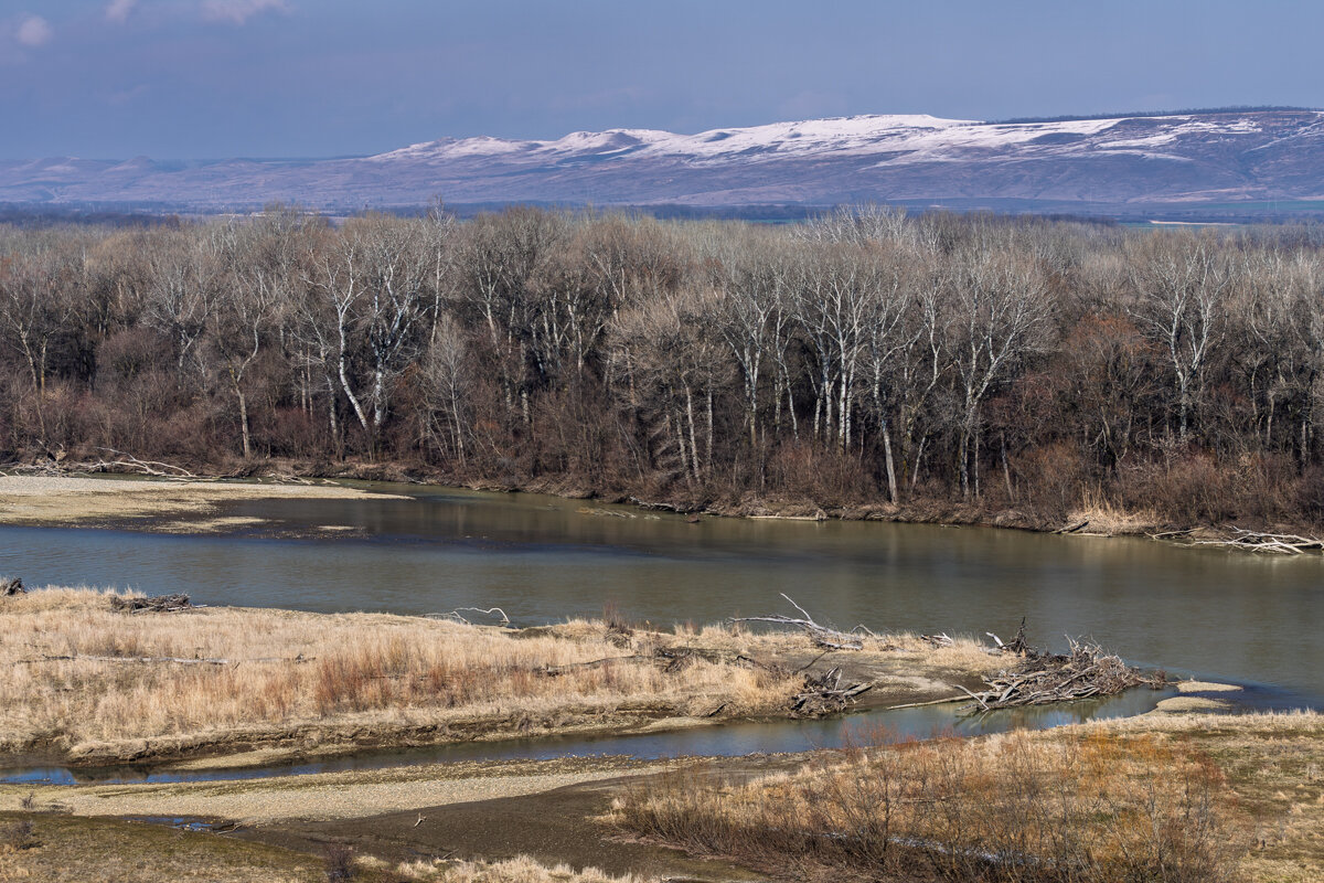 Март в Краснодарском крае - Игорь Сикорский
