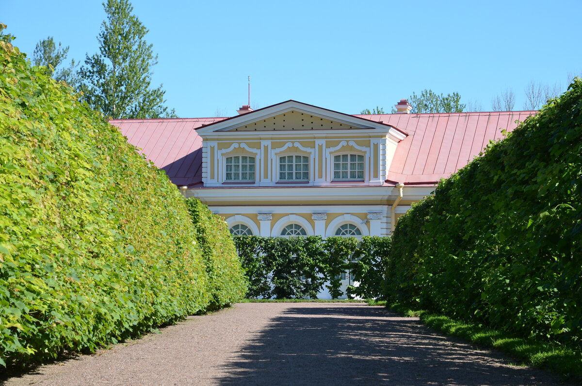 Аллея - Валерий Пославский