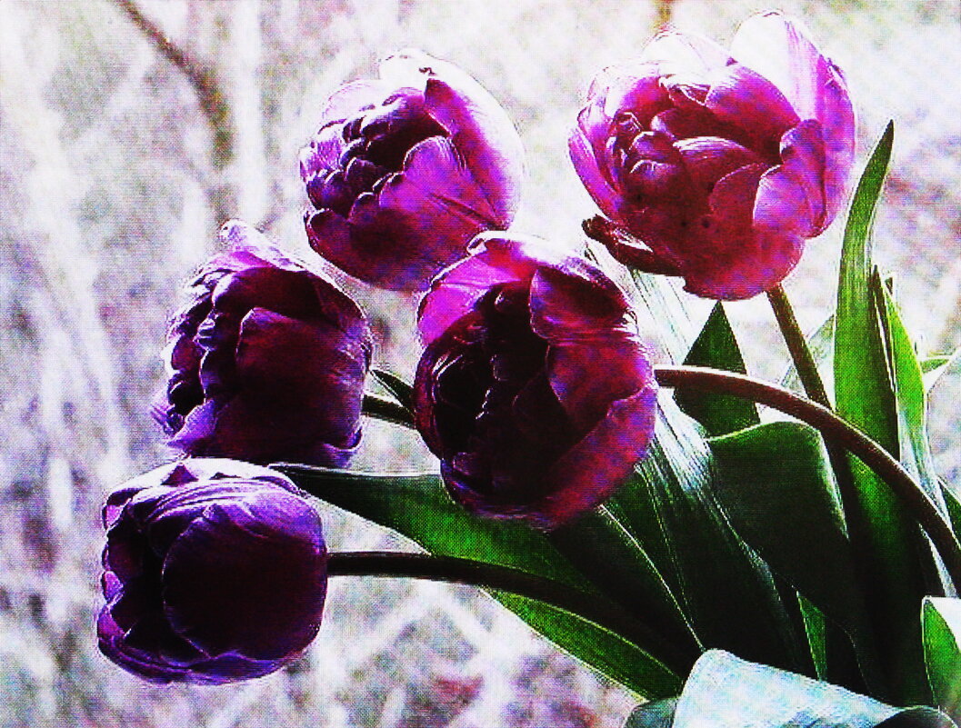 Ещё радует букетик - Людмила Смородинская