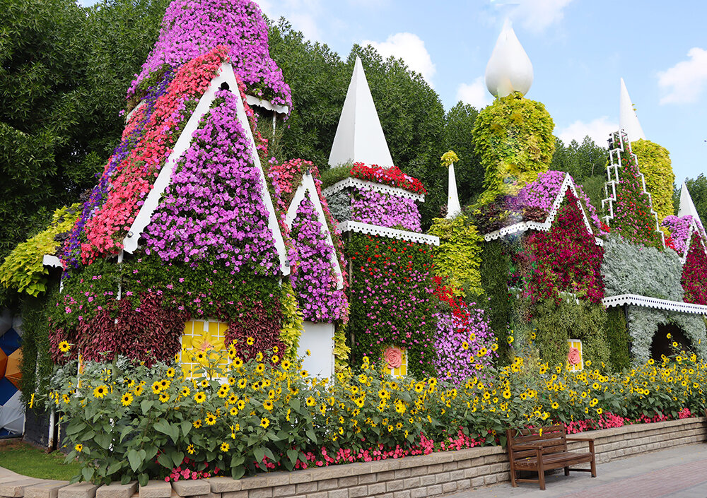 Интерьер парка цветов - Галина Ильясова