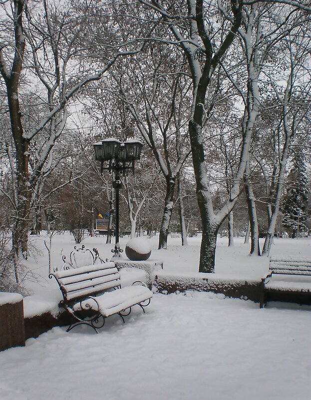 Зимний день - Роман Савоцкий