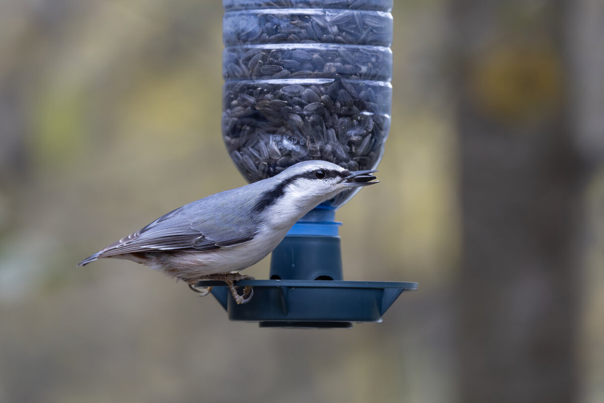 ( - юрий макаров
