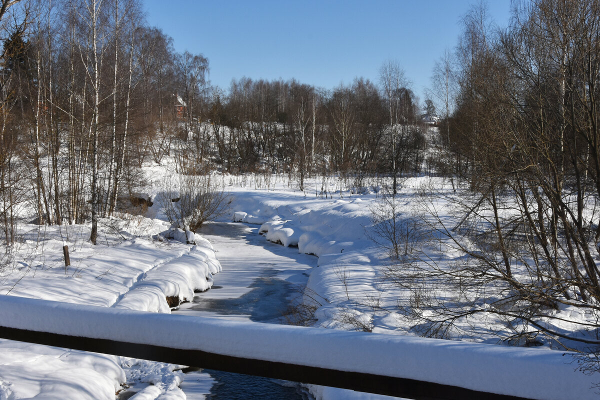 Московская область. Федоскино. - Наташа *****