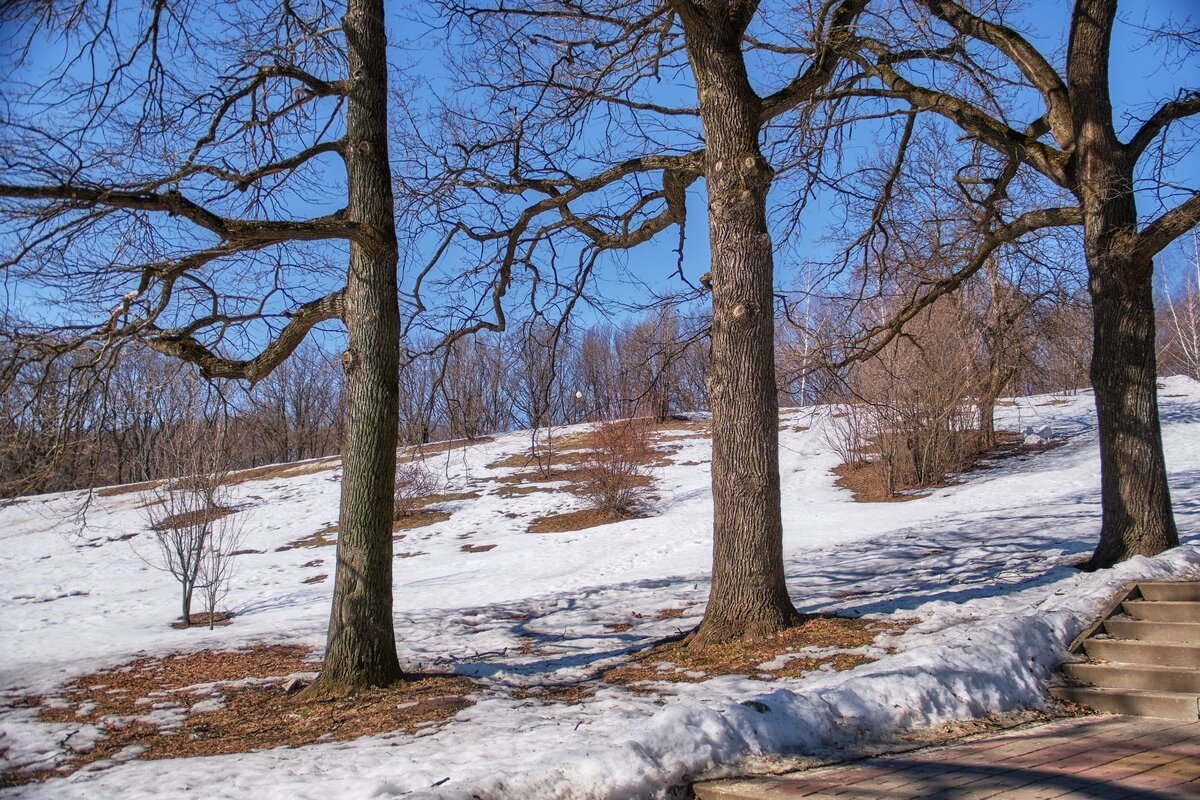 Начало весны ... - Ravile 