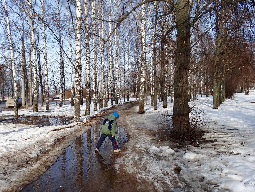Так хочется походить по лужам... - Наталья ***