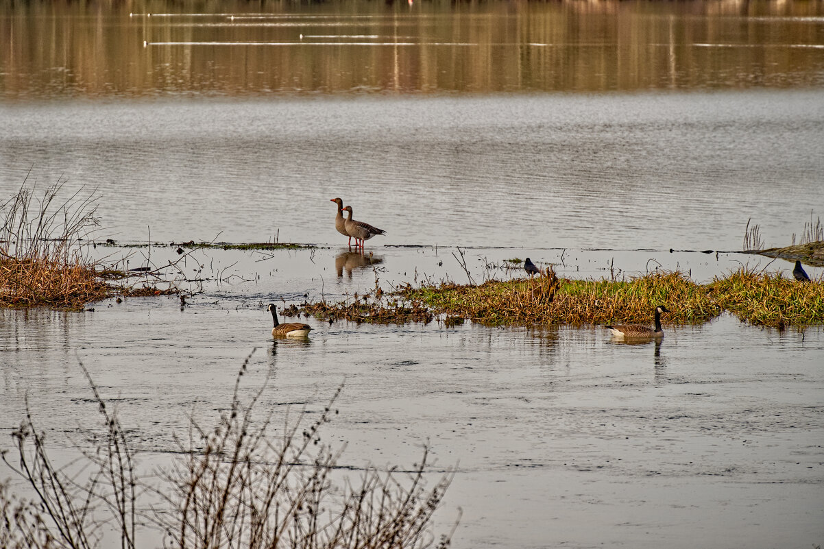 Озеро Липпа - Jakob Dick