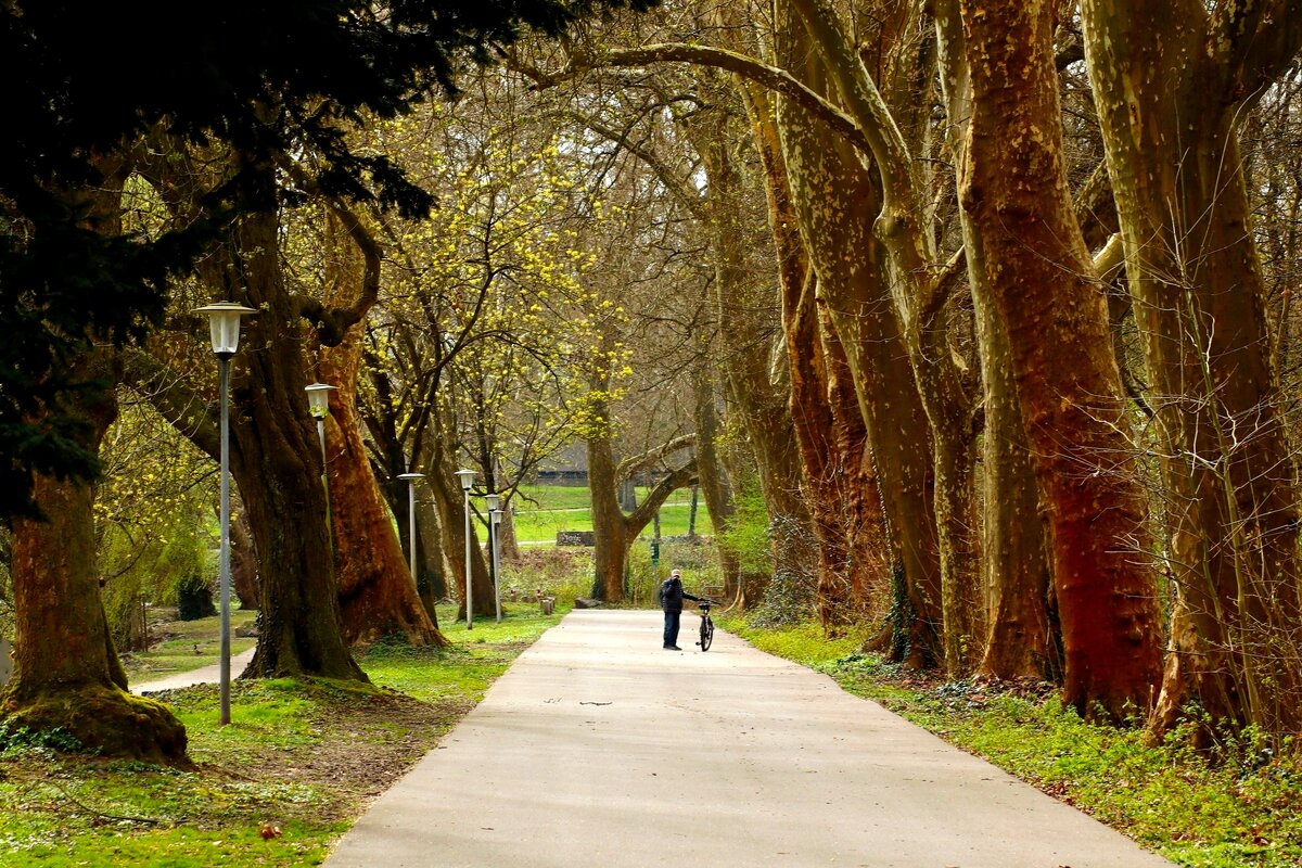 Утро весны - Юрий. Шмаков