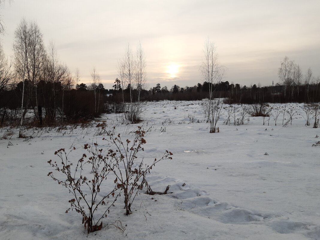 На рассвете дня - Галина Минчук