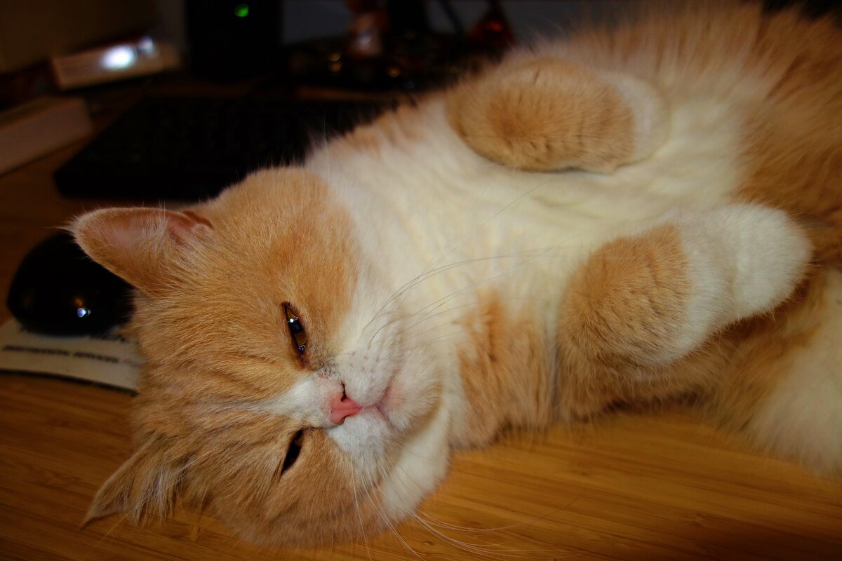 Гороша... - Галина 