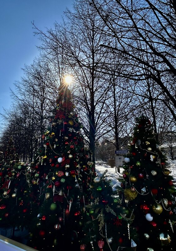 Цветной бульвар - Натали 
