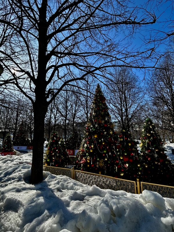 Центр Москвы - Натали 