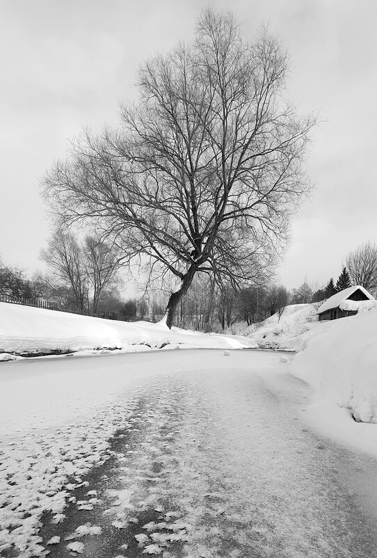 Весна в Вятском. - Михаил Свиденцов