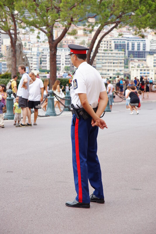 блюститель - Вадим Поляков