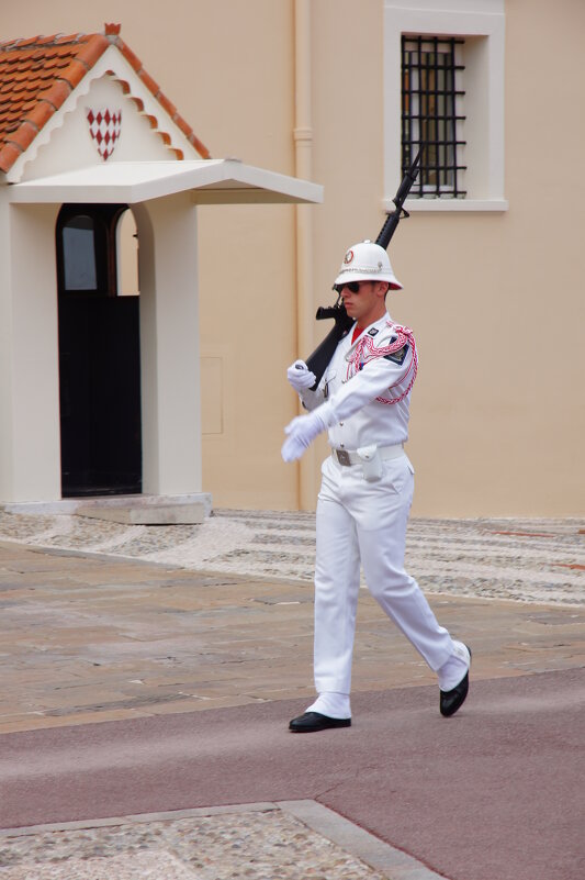 Смена караула - Вадим Поляков