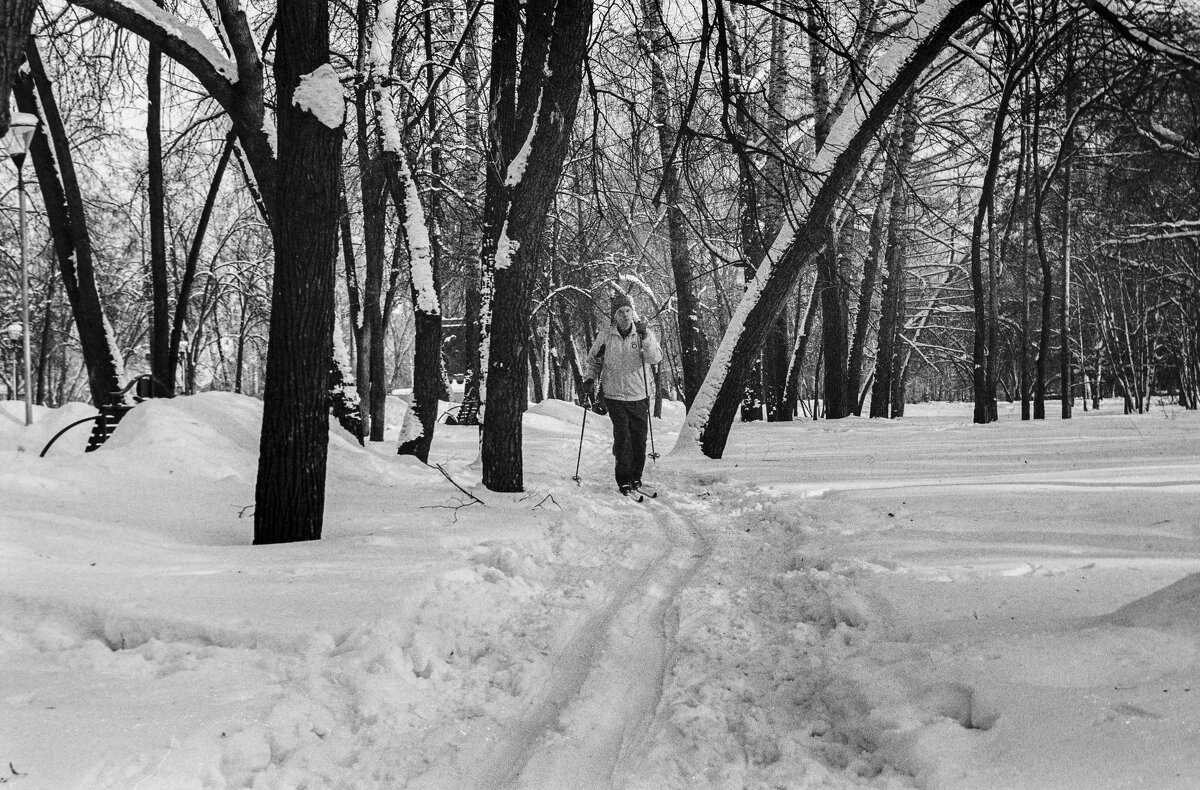 Лыжник - Михаил Соколов