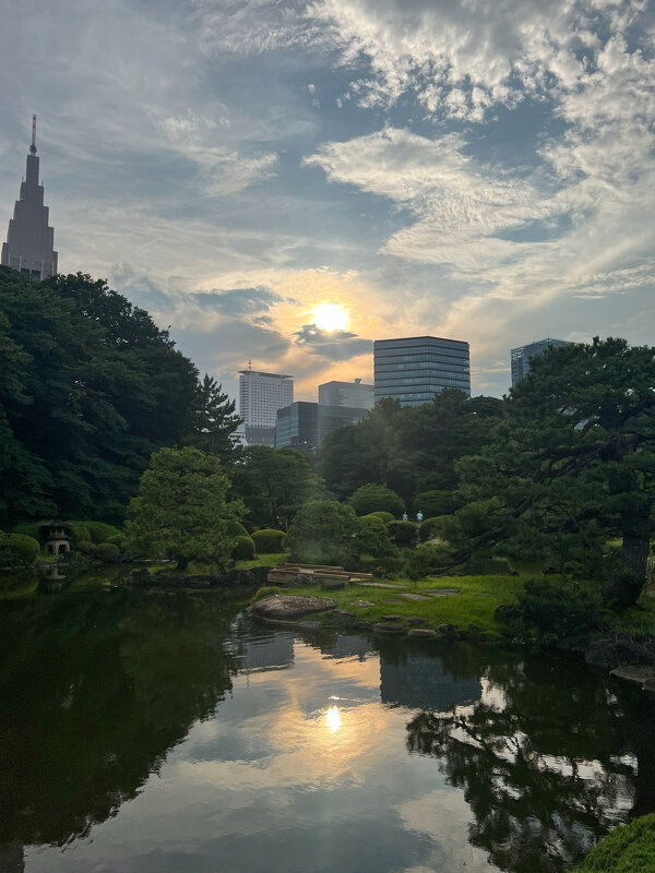 Токио - Николай Соколухин