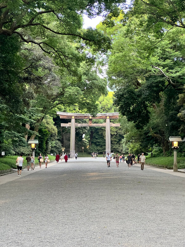 Святое для японцев место в центре Токио - Николай Соколухин