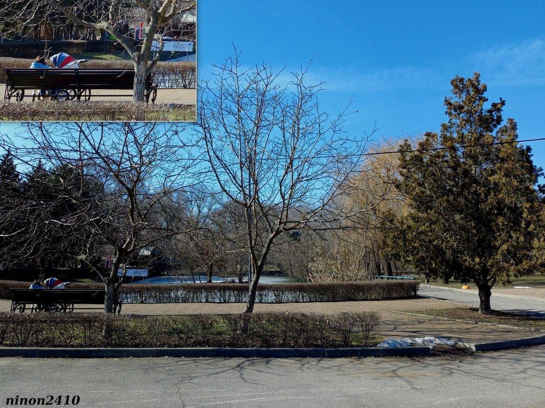 Весна в ростовском зоопарке - Нина Бутко