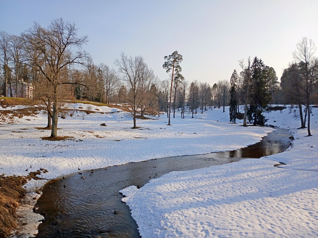 А на речке утки... - Лия ☼