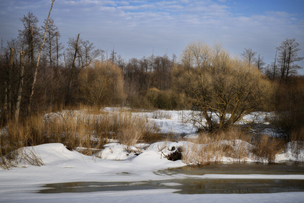 Дыхание весны - Валерий VRN