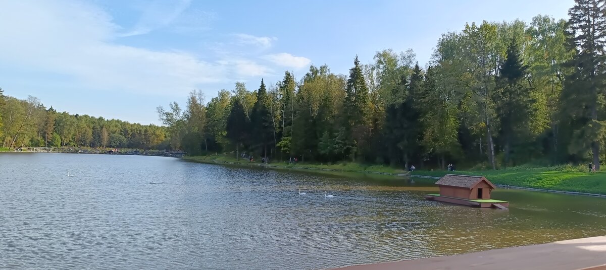 в парке - Галина R...