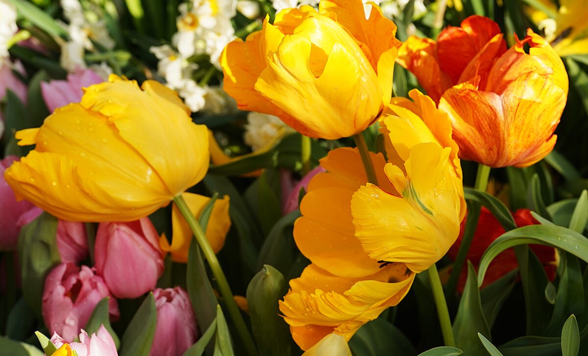 --- - Татьяна Тюменка