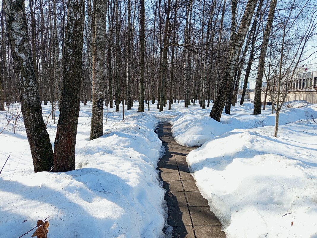 По дороге на работу - Андрей Лукьянов