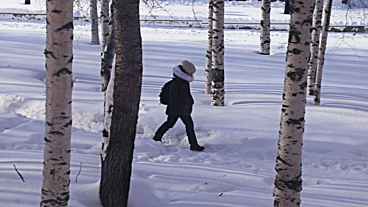 Март...Быстрее- мама ждет с горячим обедом! - Владимир 