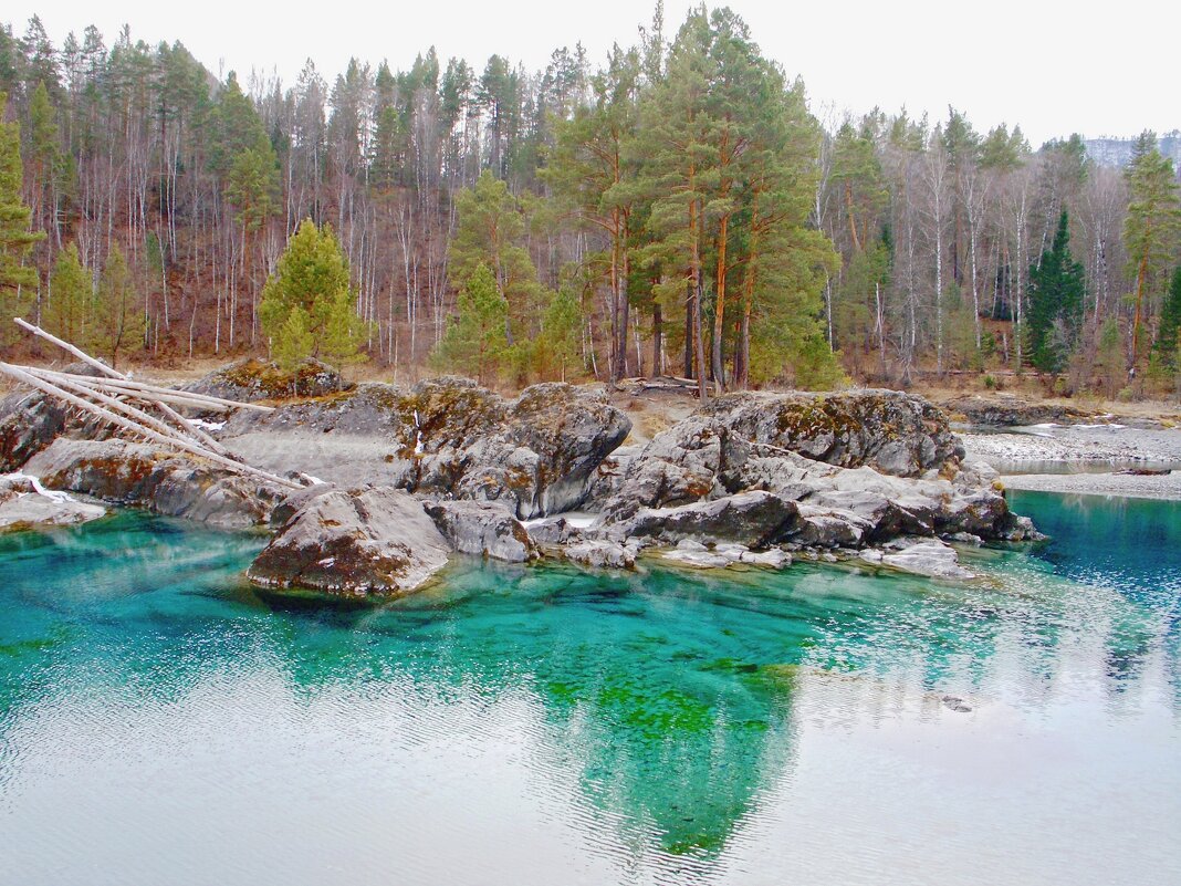 Голубые озера Алтая - Галина Нестратова