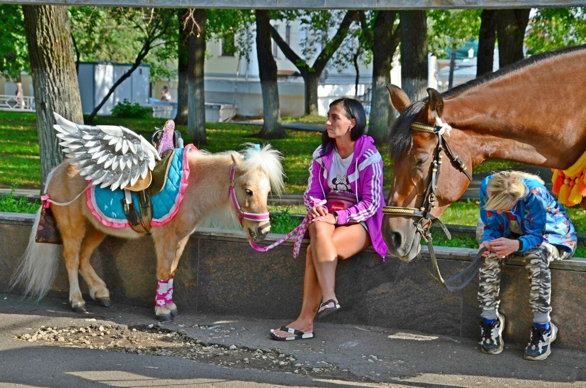 В ожидании  . - Михаил Курзанцев