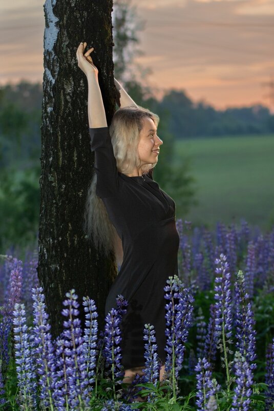 * - Евгений Ваулин