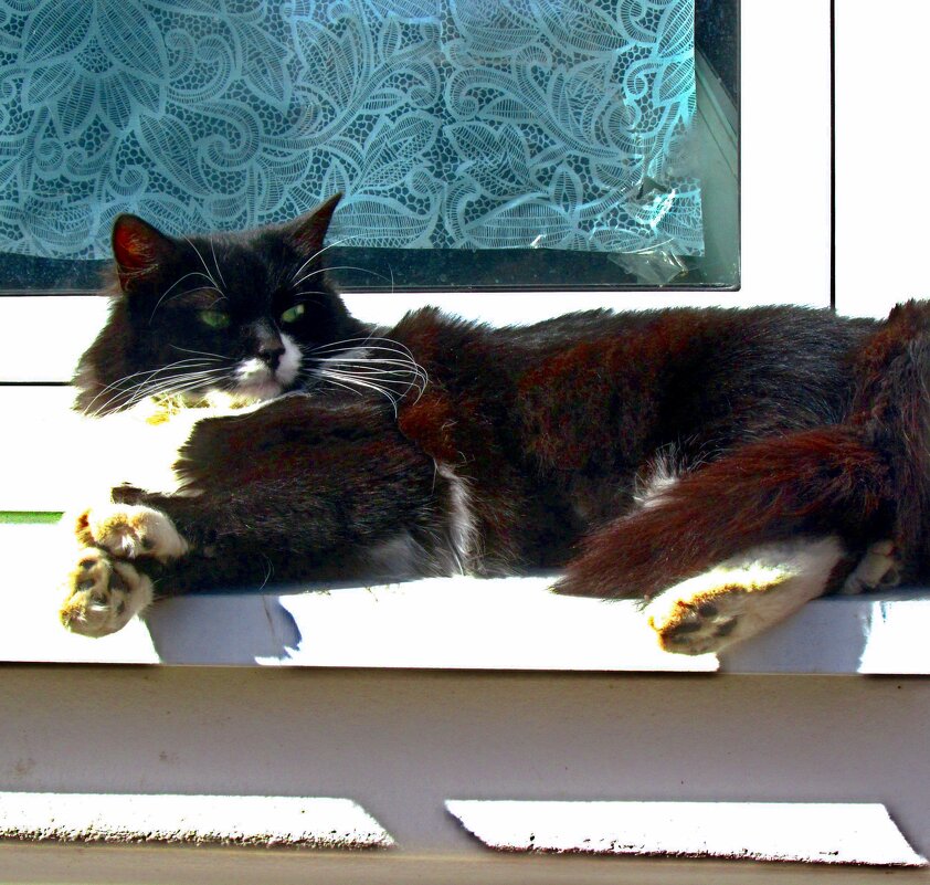 Хозяин города - Сергей Карачин Хозяин города - Сергей Карачин