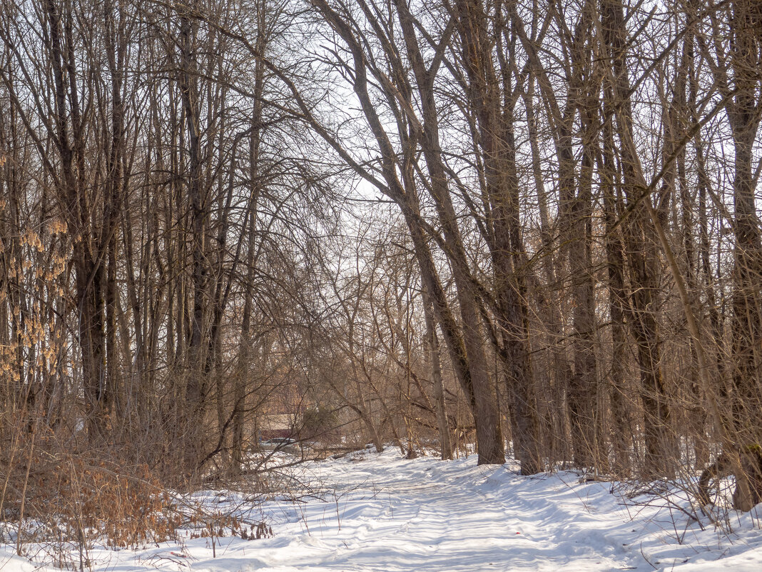 ___ - Yuriy V ___ - Yuriy V