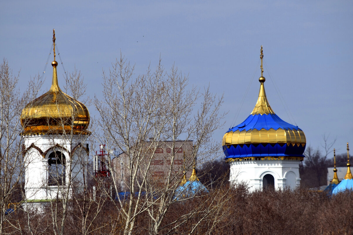 Купола - Дарья Шуклина