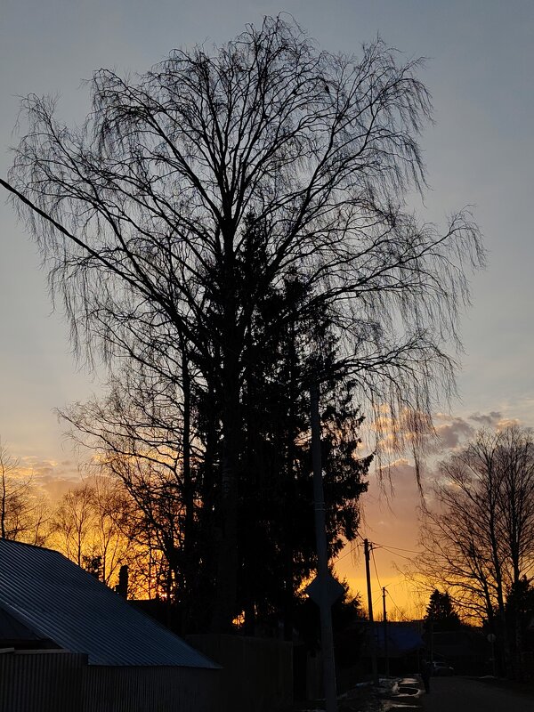 ... - Андрей ... - Андрей