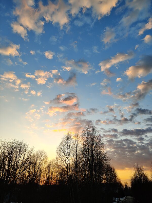 Весенний вечер - Андрей Весенний вечер - Андрей