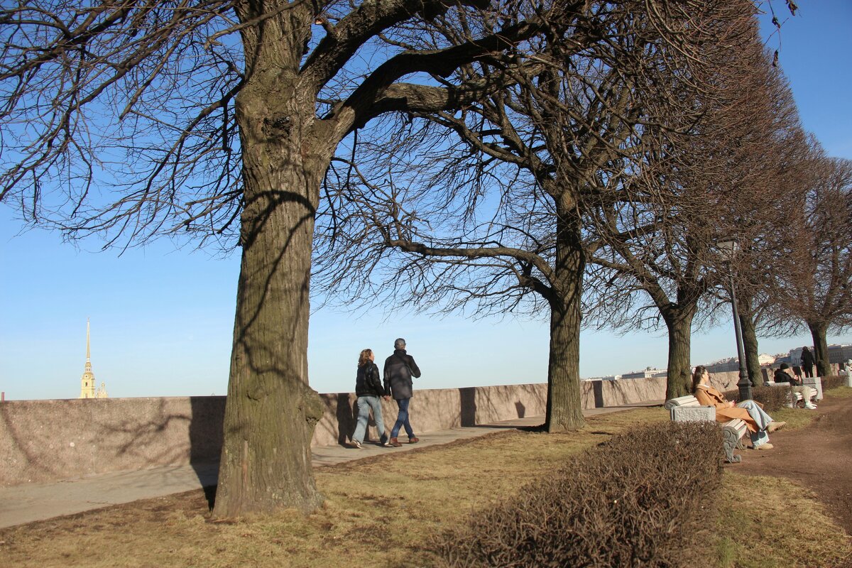 Весенний Питер - Наталья Герасимова