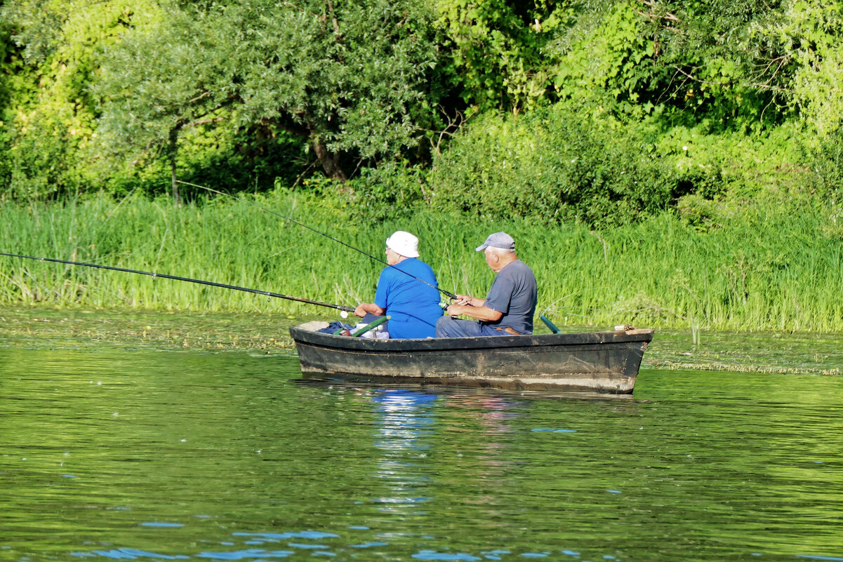 Как хорошо, по-нашему, по-старому! - Валерий Судачок