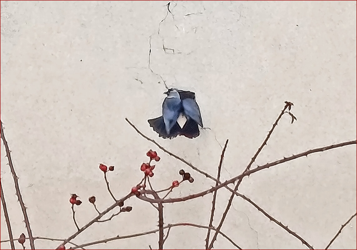 Ищем жильё! - Валентина  Нефёдова 