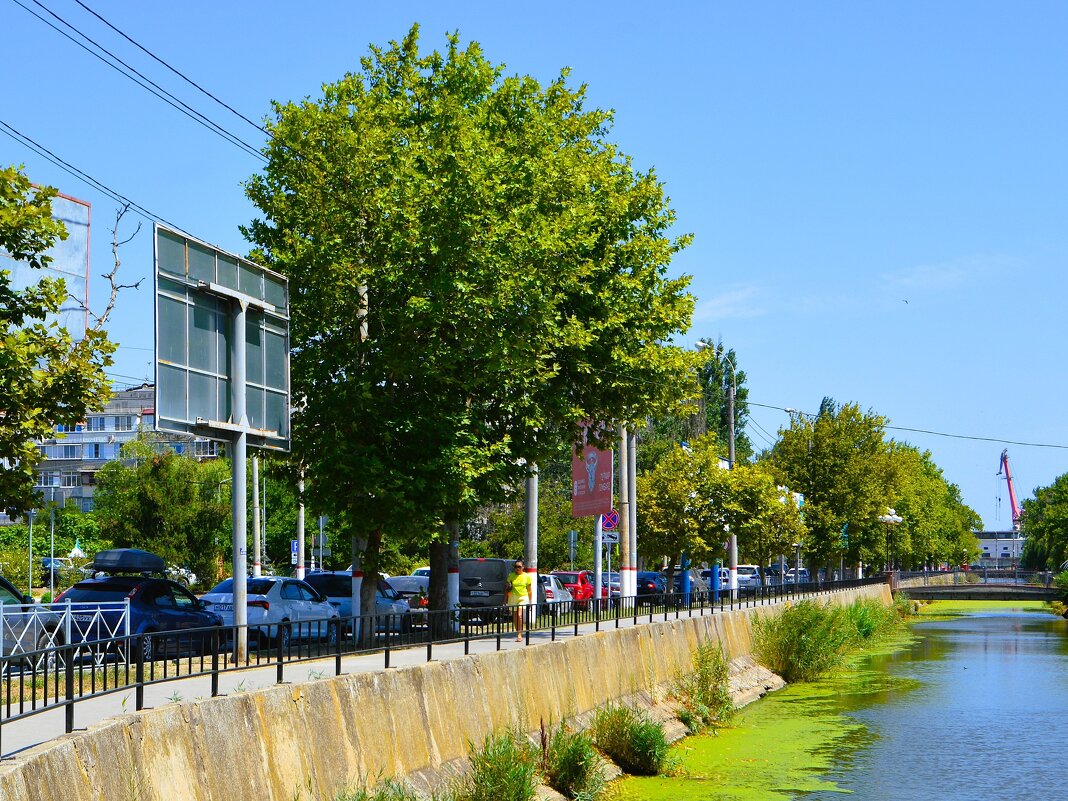 Керчь. Липа над рекой Мелек-Чесме летом. - Пётр Чернега Керчь. Липа над рекой Мелек-Чесме летом. - Пётр Чернега