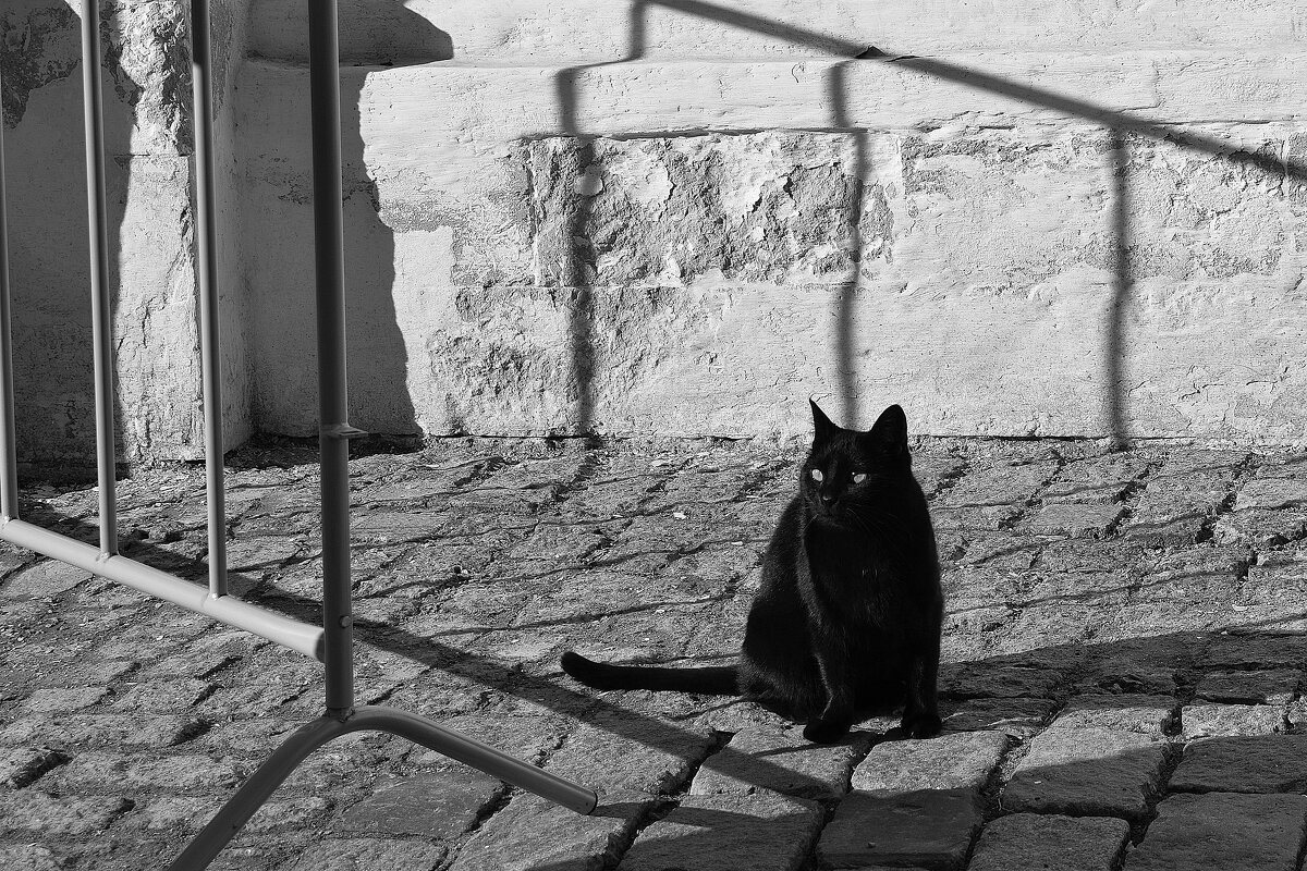 Монастырский кот. - Татьяна Помогалова