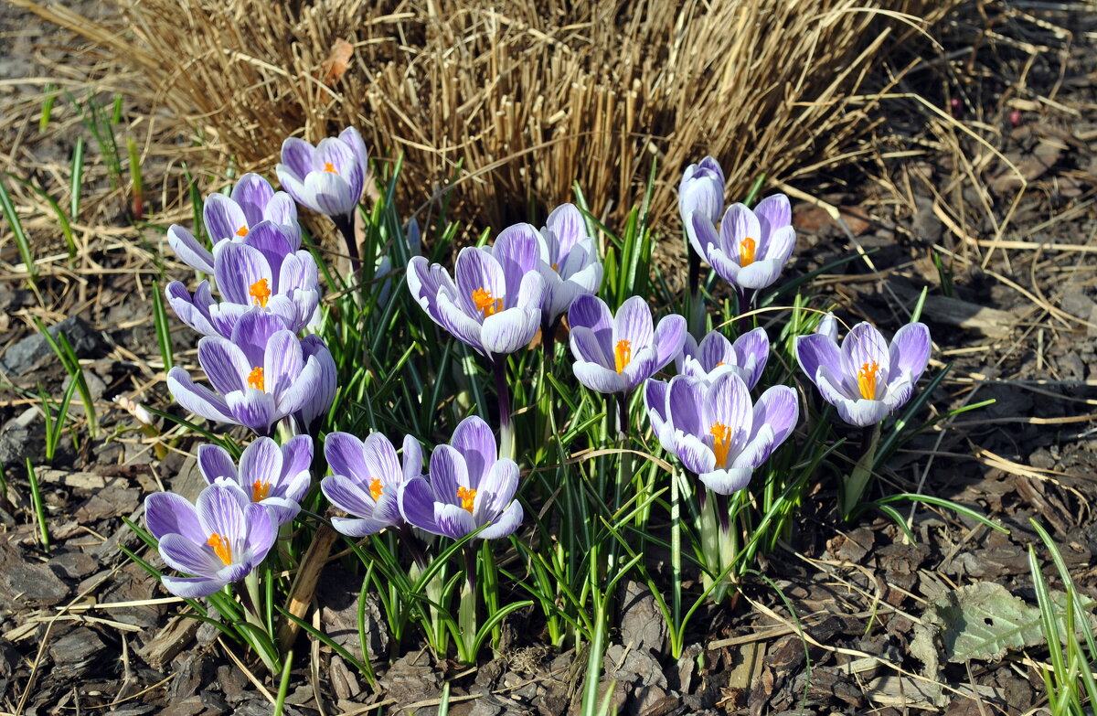 В затишке пристенка - AleksSPb Лесниченко