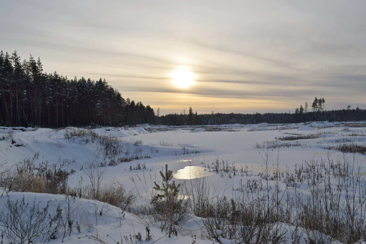 Зимний восход. - ВикТор Быстров Зимний восход. - ВикТор Быстров