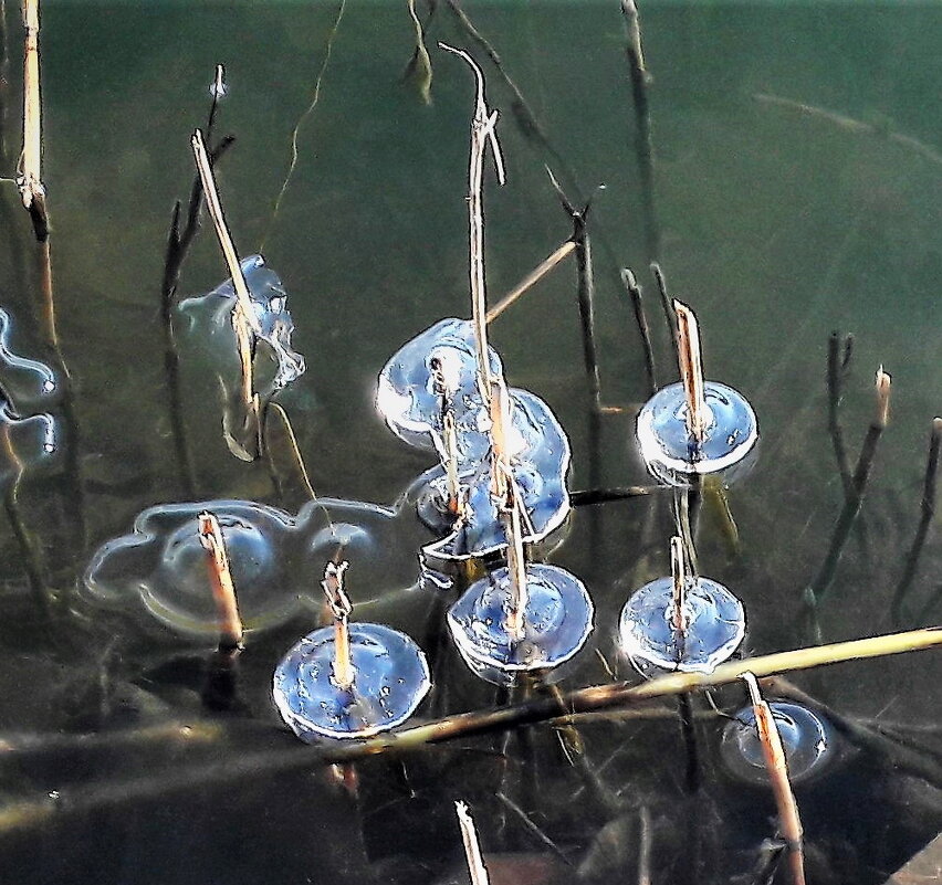 ПОПЛАВКИ - Виктор Никитенко