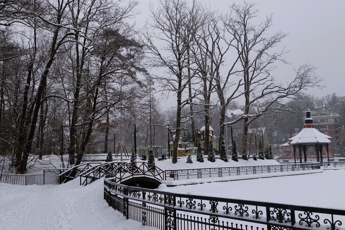 Озеро Тихое, Светлогорск - Рита Симонова Озеро Тихое, Светлогорск - Рита Симонова