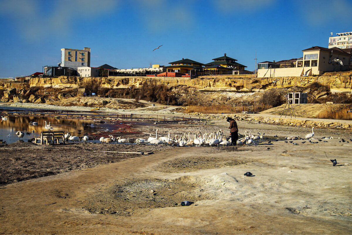 Берег - Анатолий Чикчирный Берег - Анатолий Чикчирный