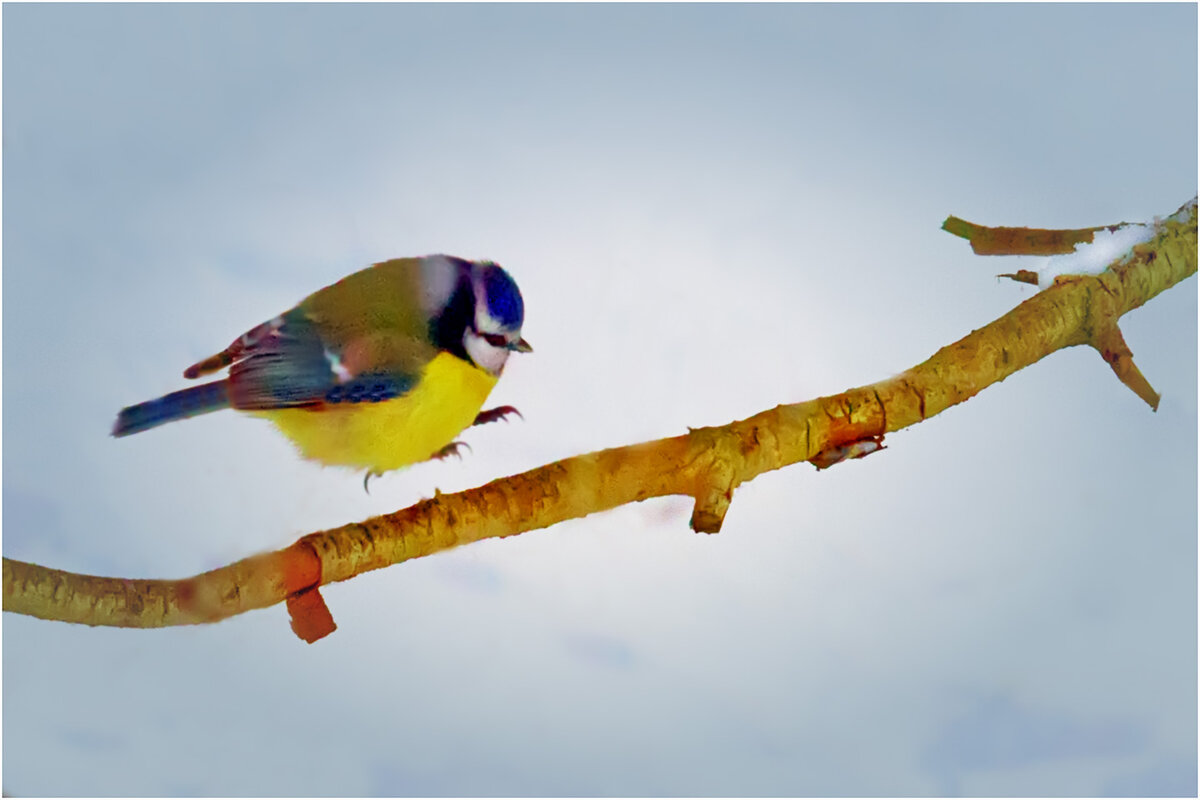 Весенняя акварель - Валентин Котляров